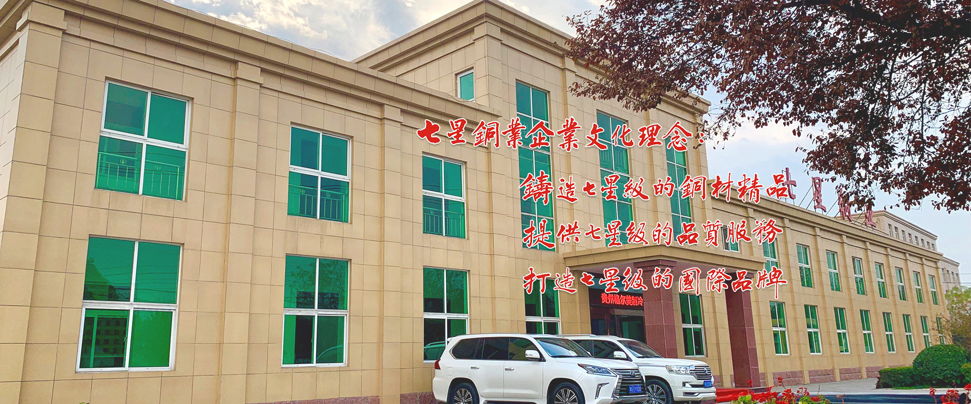 河南七星铜业有限公司